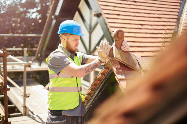 Best Roof Gutter Cleaning  in Weissport East, PA